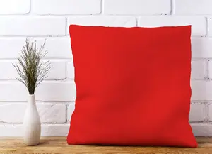 Fire Engine Red Cushions 45cm x 45cm