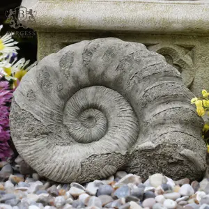 Ammonite Fossil Stone Statue Thick Outdoor Garden Ornament Decoration British Made Sculpture