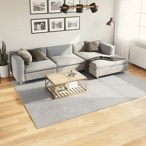 Rug HUARTE Short Pile Soft and Washable Grey 200x280 cm