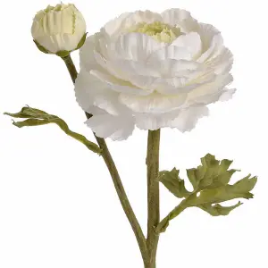 UK Homeliving White Ranunculus Spray