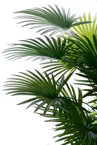 Best Artificial 4ft - 120cm Spider Finger Palm Tree