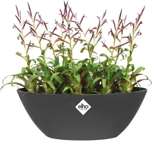 Elho Brussels Oval 36cm Plastic Plant Pot in Anthracite