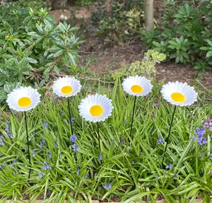 Cast Iron Wild Bird Daisy Flower Dish Bird Feeders (Set of 5)