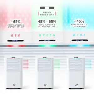 NETTA 12L Compact Dehumidifier - Digital Control Panel, Air Filter,  Auto Restart,  Low Energy 200W