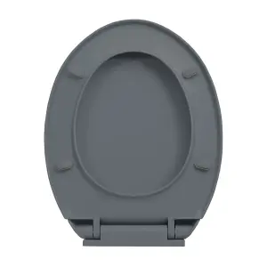 Soft-Close Toilet Seat Quick Release Grey Oval