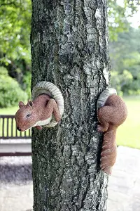 Red Squirrel Tree Oeeker Ornament