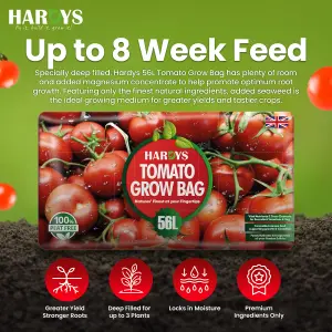 Hardys 56L Tomato Planter Grow Bag - Nutrient Enriched Peat Free Compost, Up to 8 Week Feed, Deep Fill, High Yield & Flavourful