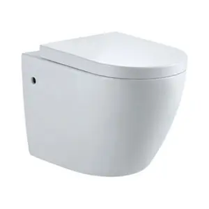 Isaac Modern Round Wall Hung Toilet with Soft Closing Seat