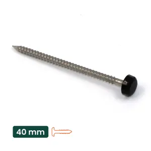 50pk UPVC Panel Pins 40mm Poly Top Pins Nails Plastic Headed Fascia Fixings Roofing Nails Black