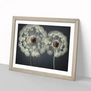 Creative Dandelion Flowers - Single Picture Frame Print Oak / 25cm H x 34cm W x 2cm D