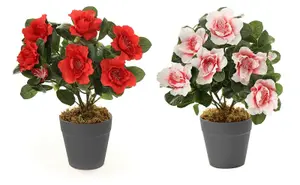 Best Artificial 27cm Red Azalea Plug Plant - Pot NOT Included