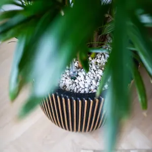 Capi Planter Groove 43x41 cm Black and Gold