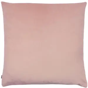 Ashley Wilde Wick Organic Motif Polyester Filled Cushion