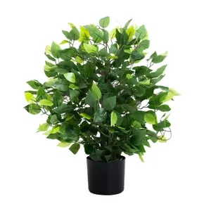 Blooming Artificial - 60cm / 2ft Fake Weeping Fig Ficus