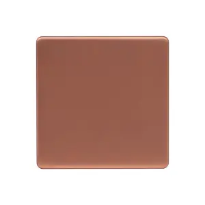 Brushed Copper Screwless Plate Single Blank Plates - SE Home