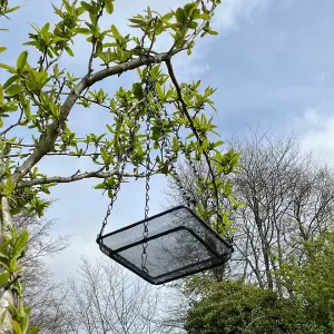 Hanging Metal Bird Seed & Nut Feeder Tray