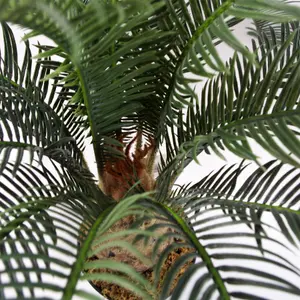 60cm Artificial Tropical Cycas Palm Plant