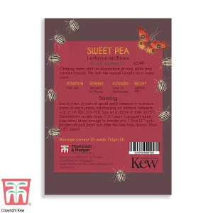 Perennial Sweet Pea Promo New Kew Range 1 Seed Packet (10 Seeds)