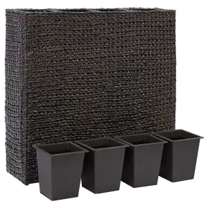 Berkfield Garden Raised Bed with 4 Pots Water Hyacinth Black