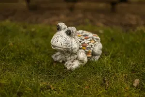 Frog Garden Ornament with Stone Effect