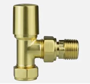 Brushed Brass Angled Radiator Valve Pair