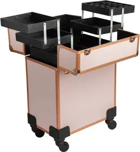 Pink Professional Make-Up Trolley Case