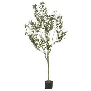 Artificial Plant OLIVE TREE Green