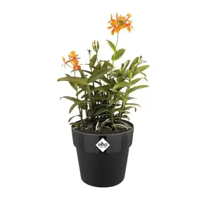 Elho B.for Original Round 18cm Living Black Recycled Plastic Plant Pot