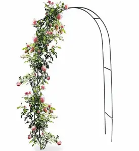 Metal Garden Arch Archway Ornament For Climbing Plants