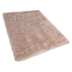 Shaggy Area Rug 160 x 230 cm Beige CIDE