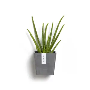 Set of 2 Ecopots Manhattan Wall