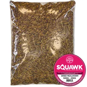 1kg SQUAWK Dried Mealworms - Premium Quality Wild Bird Food Garden Snacks For Birds