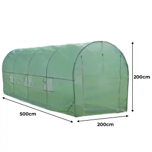 Polytunnel Greenhouse - 5m x 2m with Racking