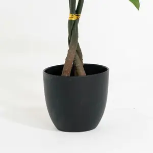 Blooming Artificial - 45cm / 1.5ft Faux Pachira