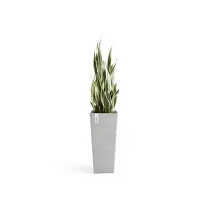 Rotterdam Smooth Finish Tall Vase White