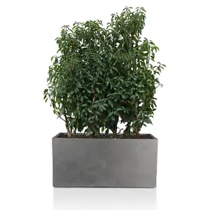 IDEALIST™ 100cm Trough Garden Planter, Grey Reinforced Stone Outdoor Large Plant Pot L100 W36 H51 cm, 185L