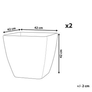 Set of 2 Plant Pots 42 x 42 x 42 cm Grey ZELI