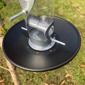 Heavy Duty Metal Bird Seed Feeder with Seed Catcher Tray