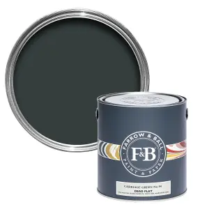 Farrow & Ball Dead Flat Mixed Colour 94 Carriage Green 750ml