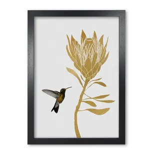 Hummingbird & Flower I - Print Black Grain Frame / 30 cm H x 21 cm W x 5 cm D