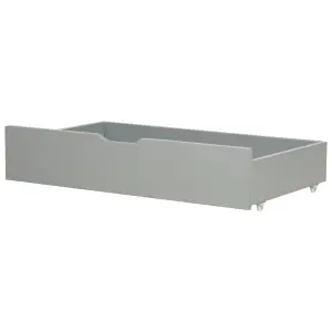 Set of 2 Storage Drawers Grey RUMILLY