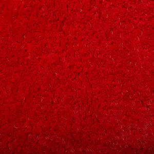 Shaggy Area Rug 200 x 300 cm Red DEMRE