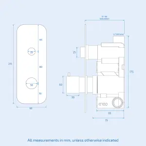 Nes Home One-Dial One-Way Push Button Thermostatic Mixer Valve, Slider Rail Kit