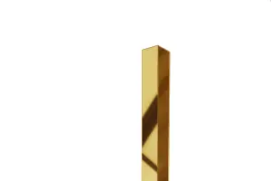 ILCOM decorative profile Li 20mm x 2700mm x 0.6mm Gold Polished Stainless Steel