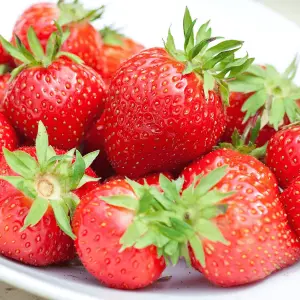 Strawberry Flamenco - Outdoor Fruit Plants for Gardens, Pots, Containers (9cm Pots, 10 Pack)