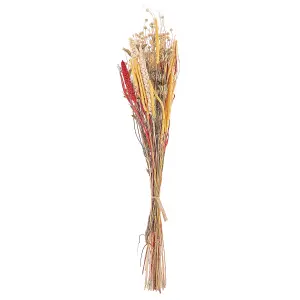 Dried Flower Bouquet PAMPELUNA Natural