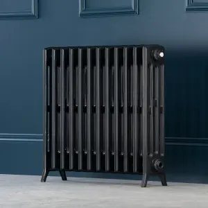 Arroll Edwardian Cast aluminium Anthracite Grey 12 Column Radiator, (W)728mm x (H)650mm