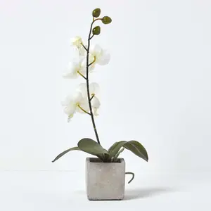 Homescapes White Artificial Orchid Flowers in Pot for Indoor & Outdoor Decoration