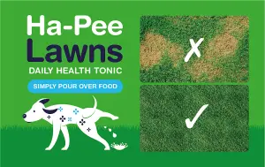 Woof&Brew Ha-Pee Lawns for Dogs - Helps prevent urine patches on lawns