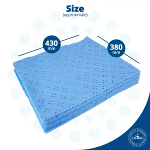 Set of 100 pcs. Perforated Super Absorbent Household Cloth in Blue ( 10 pack )